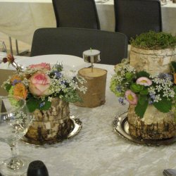 Birkebark i plader, smalt (10 stk.)