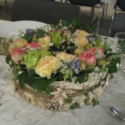 Birkebark i plader, smalt (10 stk.)