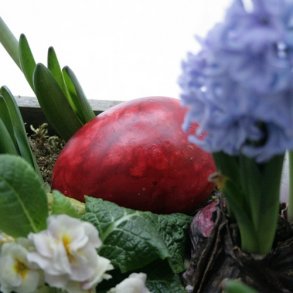 Marmorerede gseg i keramik, rd