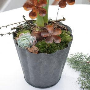 Zinkpotte, blget ( 15)