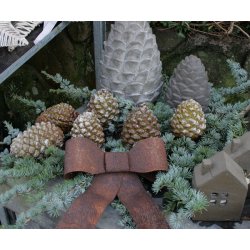 Sl�jfe i rust, lille