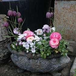 Stbejernskrukke, oval, gr