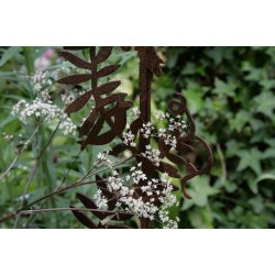 Wild flower, rust stick