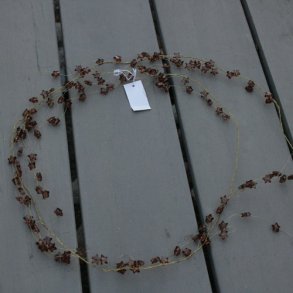 Perleranke med stjerner, amber