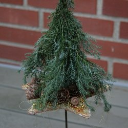 buketstjerne, guld med perler