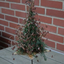 Perleranke med stjerner, amber