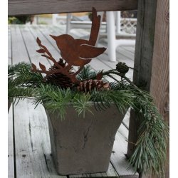 Fugl i rust, solsort p� kvist