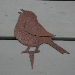 Fugl, syngende med spyd