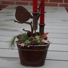 Fugl p kvist, B stor