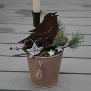 Fugl, syngende med spyd