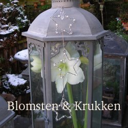 Stjerne med perler til ophng