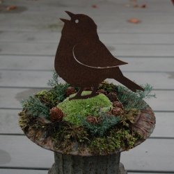 Fugl, syngende med spyd