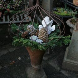 Stbejernskrukke, trompet (46 cm)