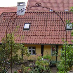 Rosenbue Nostalgi med top