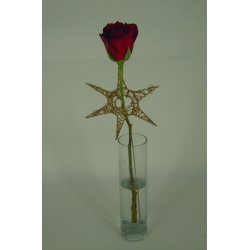 Stjerne p stick, guld