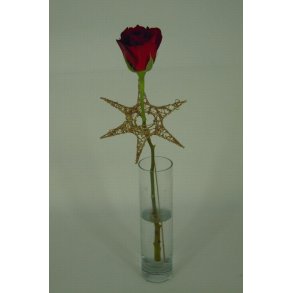 Stjerne p stick, guld