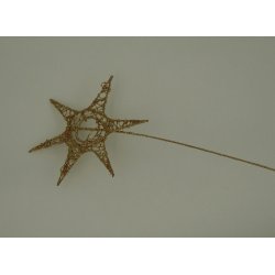 Stjerne p stick, guld