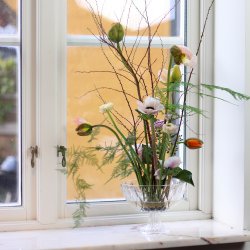 Blomsterfakir (34 mm)