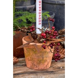 Stjerne Vega, rustik rust ( 15 cm)