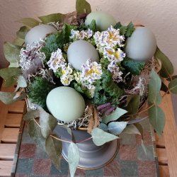 H�nse�g, udpustede gr�nne (12 stk.)