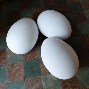 Gseg i keramik, hvide (3 stk.)