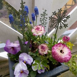 Blomsterstick, irgrn 30 cm (3 stk.)