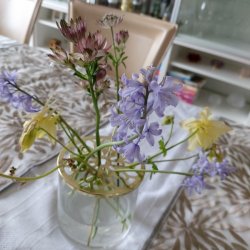 Glas med lg, lille glas med guld lg