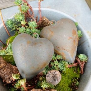 Buttede hjerter (2 stk.)