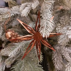 Stjerne kobber, lille