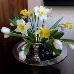 Blomsterfakir (34 mm)