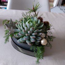 Hjerteformet metaldse med lg