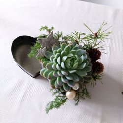 Hjerteformet metaldse med lg