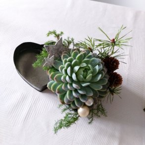 Hjerteformet metaldse med lg