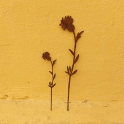 Cuckoo flower p stick (H 24 cm)