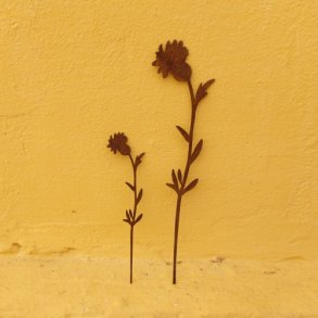 Cuckoo flower p stick (H 24 cm)