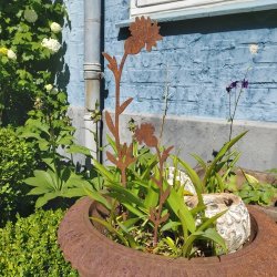 Cuckoo flower p stick (H 24 cm)