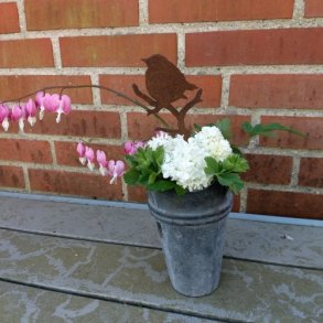 fugl p kvist, blomstersttte
