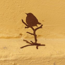 fugl p kvist, blomstersttte