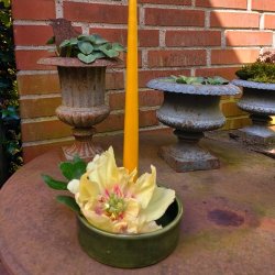 Lysestage, Marika mrkgrn