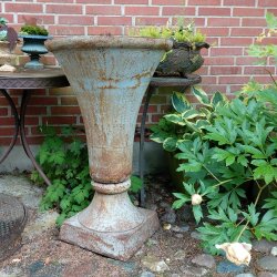 Stbejernskrukke, trompet (90cm)