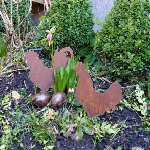 Hne og hanepar, rust