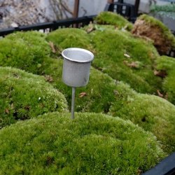 Lysholder til stagelys/kronelys (4 stk.)