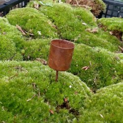 Lysholder til stagelys/kronelys, brun/rust (4 stk.)