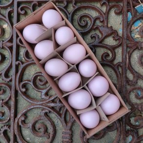 H�nse�g, udpustede rosa, mat og blank (12 stk.)