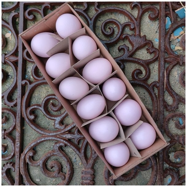 H�nse�g, udpustede rosa, mat og blank (12 stk.)