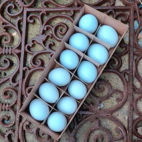 H�nse�g, udpustede lysebl�, mat og blank (12 stk.)