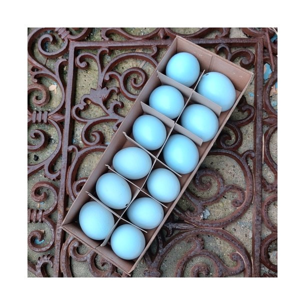 H�nse�g, udpustede lysebl�, mat og blank (12 stk.)