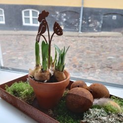 Fugl p� pind, rust (8 cm)