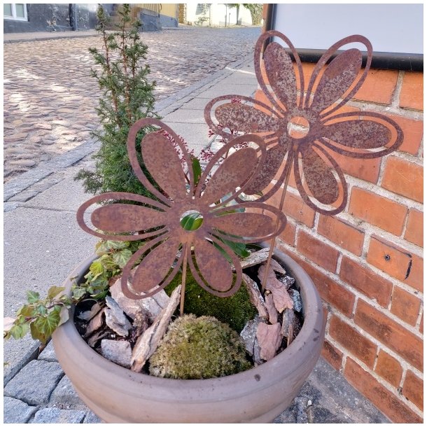 Rustblomst (� 24 cm)