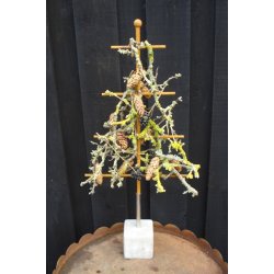 Juletr rust, lille - uden fod